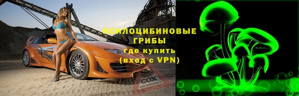 2c-b Белокуриха
