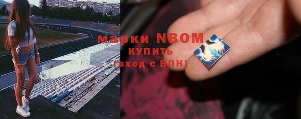 mix Богородицк