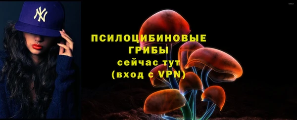 mix Богородицк