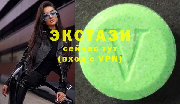 ECSTASY Инсар